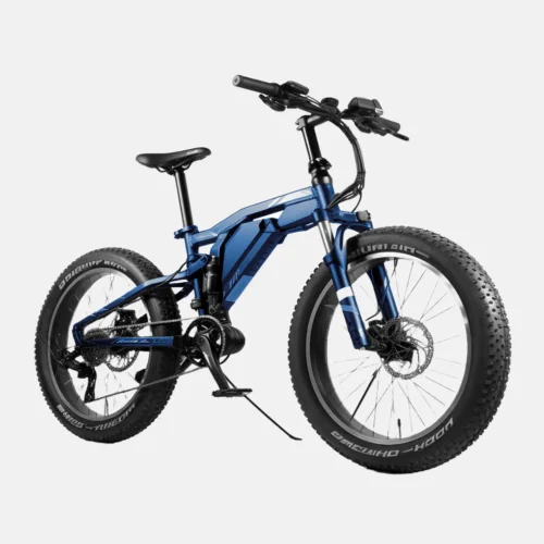 product-image-10_2 Aliquam Sodales